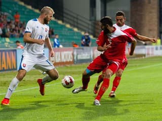 Adam Nemec v zápase