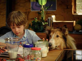 Lassie: Nové dobrodružstvo