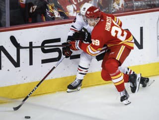 NHL: Gustavsson sa stal