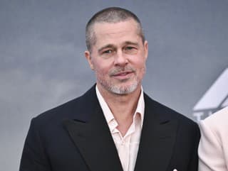 Brad Pitt a gay