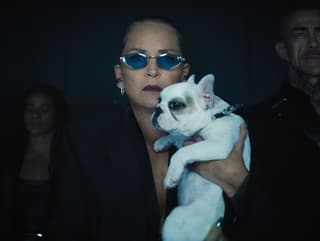 Krásna Sharon Stone v