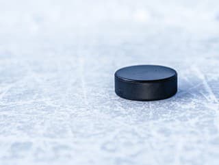 hockey puck lies on