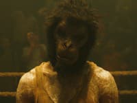 Opičí človek