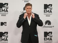 David Hasselhoff