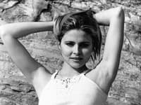 Priscilla Barnes