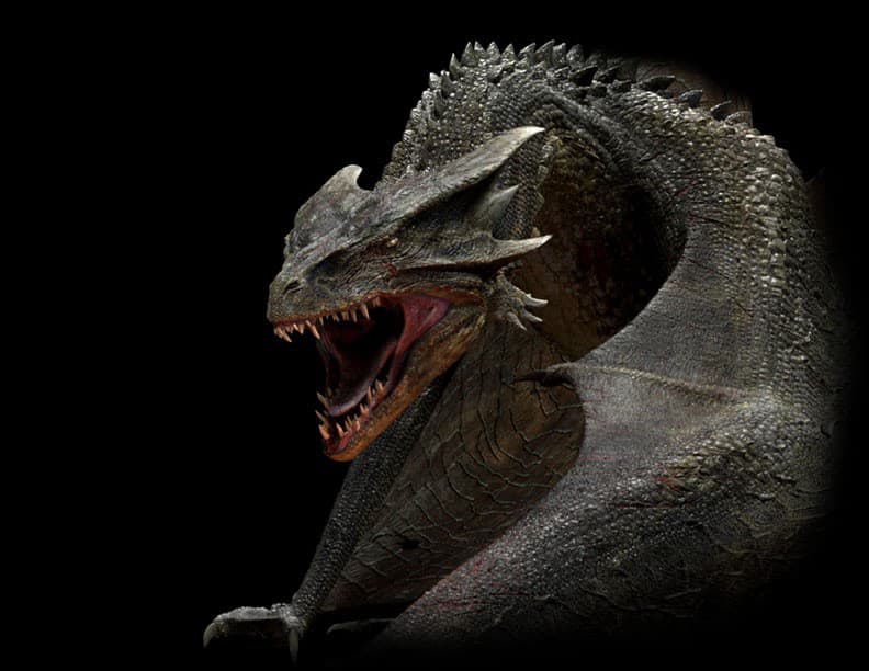 Drak (Vláda ohňa)