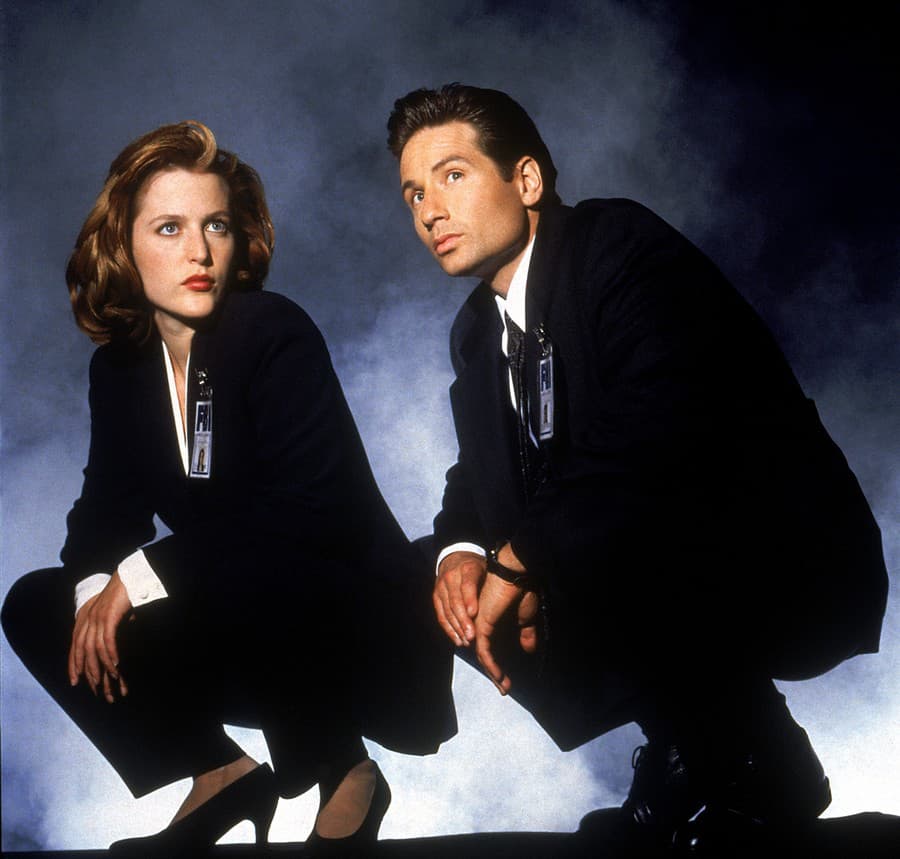 Gillian Anderson a David