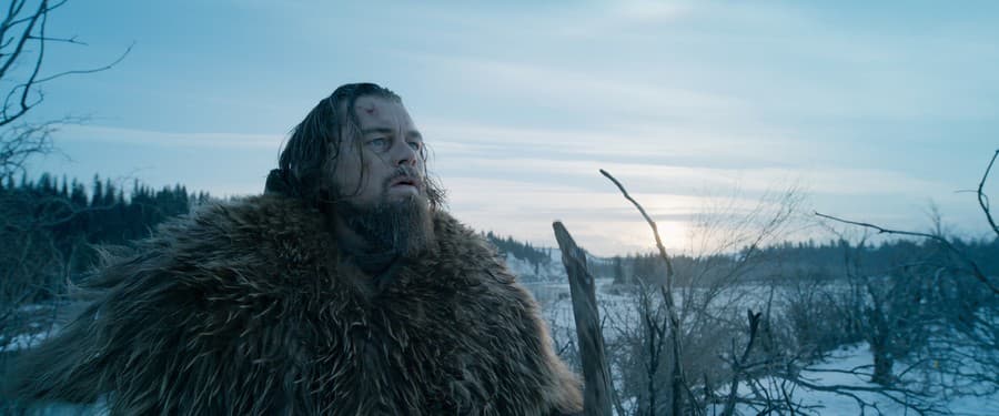 Leonardo DiCaprio vo filme