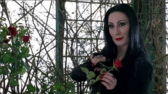 Morticia Addams, Rodina Addamsovcov