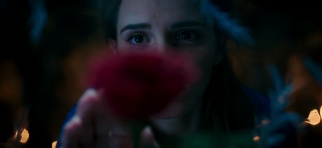 Kráska a zviera