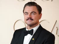 Leonardo DiCaprio 
