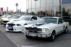 Mustang a jeho predchodcovia