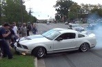 Mustang vs. skupina divákov