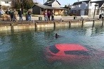 Toyota v jazere