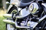 Harley - Davidson Softail