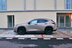 Lexus NX350 Overtrail