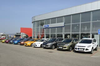 Ford prevetral svoje stádočko