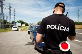 policajné hliadky, kontrola