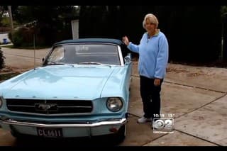 1. Mustang a jeho