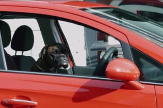 Parallel Barking