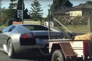 Lambo s kozami