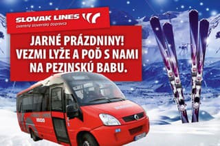 Slovak Lines