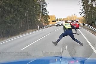 Policajti v Estónsku