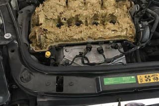 Ostrekovacia kvapalina v motore
