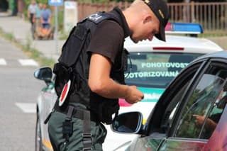Policajt PMJ
