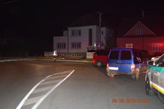 Alkohol v Bánovciach nad