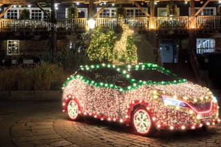 Nissan Leaf TREE