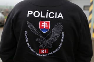 Diaľničné oddelenie PZ SR