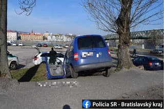 Urobila bác