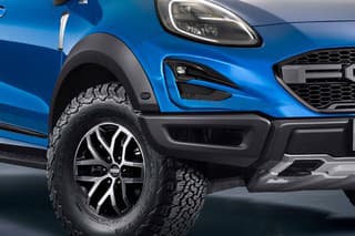 Puma Raptor