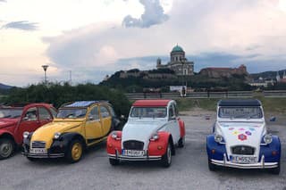 Štúrovo a kačice