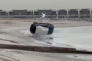Toyota a jej vodič