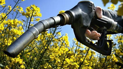 Bionafta škodí viac ako