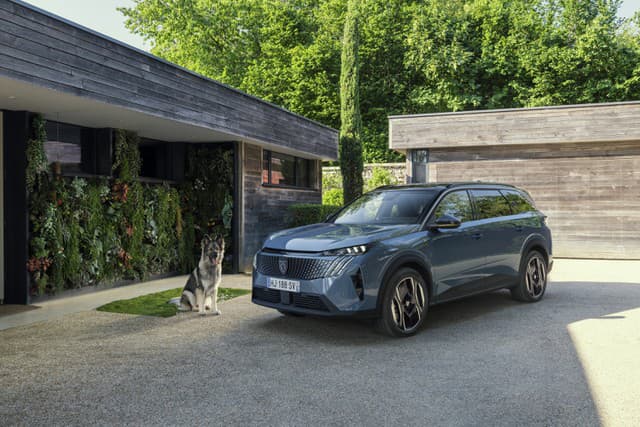 Peugeot E-5008 Dog Edition
