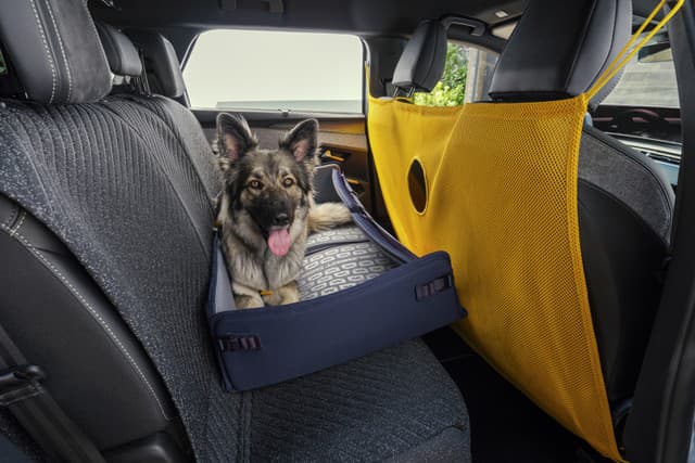 Peugeot E-5008 Dog Edition