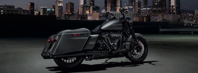 Harley-Davidson Road King® Special