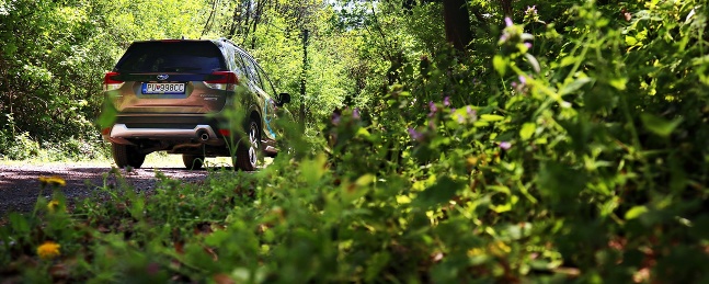 Subaru Forester 2020