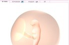 Embryo v piatom týždni
