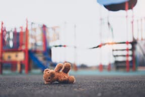 Lost teddy bear toy