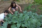 Deti vedia o záhradke