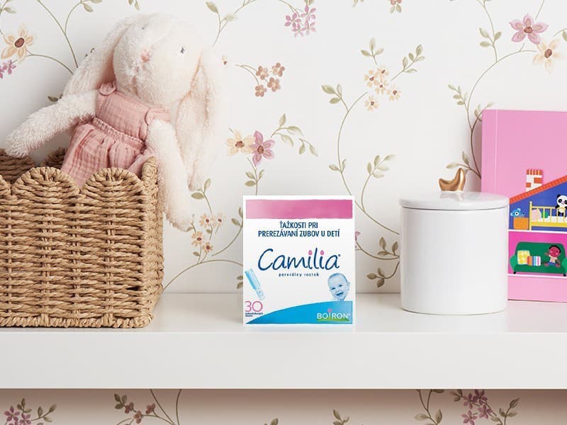 Camilia