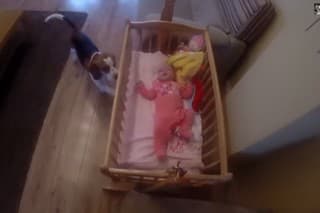 Najrozkošnejší babysitter na svete?