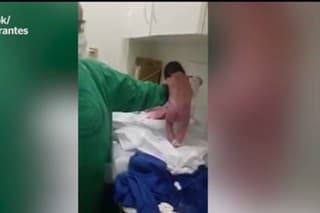 Senzácia: Bábätko začalo pár