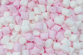 Marshmallow test – čo