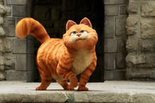 Oranžový tučko, kocúr Garfield,