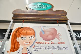 Moje Telo – výstava,